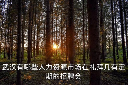 武漢有哪些人力資源市場在禮拜幾有定期的招聘會