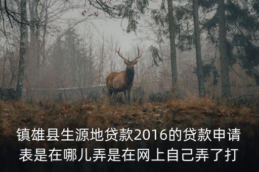 鎮(zhèn)雄縣生源地貸款2016的貸款申請(qǐng)表是在哪兒弄是在網(wǎng)上自己弄了打