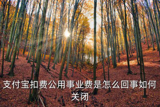 支付寶扣費(fèi)公用事業(yè)費(fèi)是怎么回事如何關(guān)閉