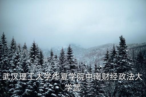 武漢理工大學華夏學院中南財經政法大學武