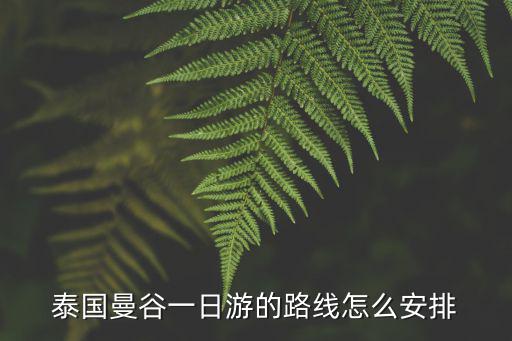 泰國曼谷一日游的路線怎么安排