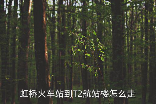 虹橋2號航站樓站，虹橋2號航站樓站是高鐵站嗎