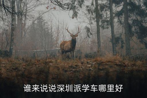 深圳學(xué)車，深圳學(xué)車哪里最快
