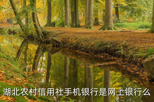 湖北農村信用社手機銀行是網上銀行么