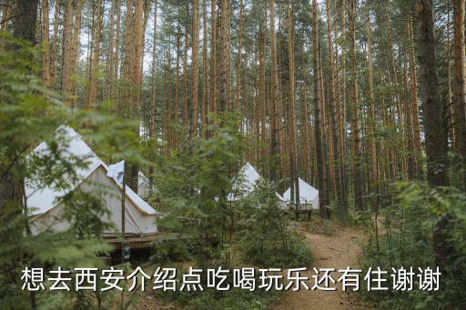 想去西安介紹點(diǎn)吃喝玩樂還有住謝謝