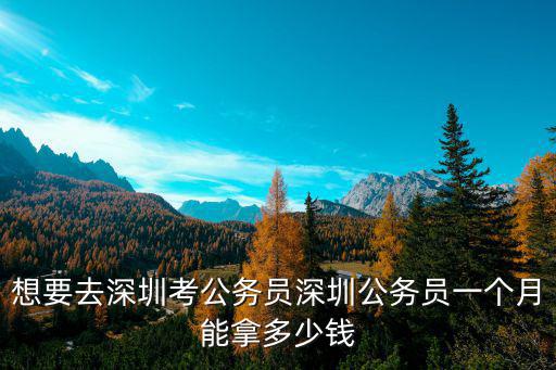 想要去深圳考公務(wù)員深圳公務(wù)員一個(gè)月能拿多少錢(qián)