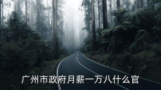 廣州市政府月薪一萬八什么官