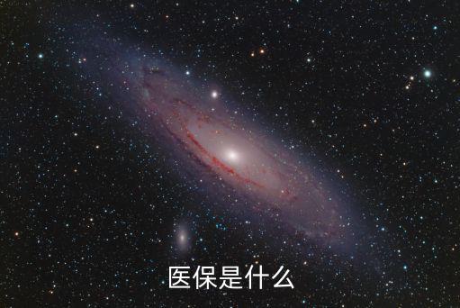 醫(yī)保是什么