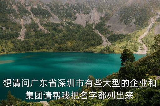 想請問廣東省深圳市有些大型的企業(yè)和集團請幫我把名字都列出來