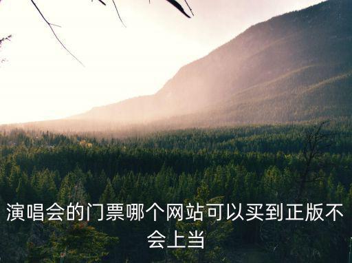 演唱會的門票哪個網(wǎng)站可以買到正版不會上當
