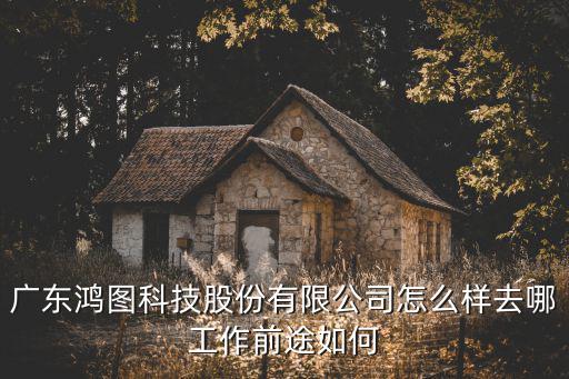 廣東鴻圖科技股份有限公司怎么樣去哪工作前途如何