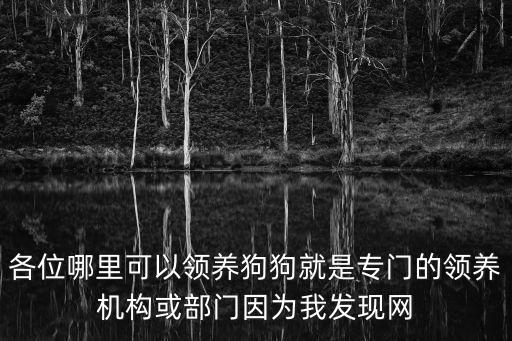 領(lǐng)養(yǎng)機構(gòu)，弱智成年人收養(yǎng)機構(gòu)在鄭州市唧個地方