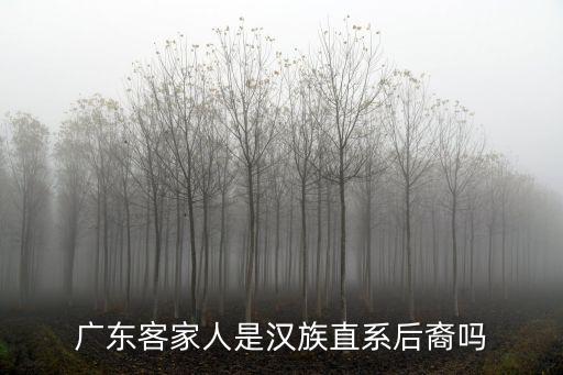 廣東客家人，廣東客家人主要聚居哪里