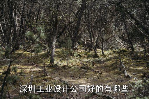 深圳工業設計公司好的有哪些