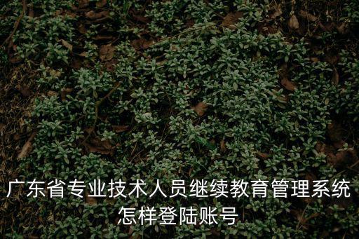 廣東省專業技術人員繼續教育管理系統怎樣登陸賬號