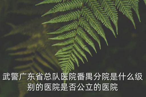 武警廣東省總隊醫(yī)院番禺分院是什么級別的醫(yī)院是否公立的醫(yī)院