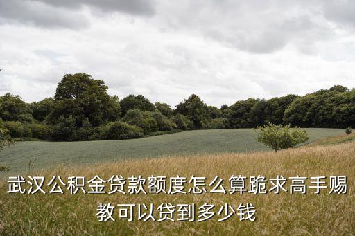武漢公積金貸款額度怎么算跪求高手賜教可以貸到多少錢