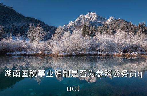 湖南國稅，湖南省稅務局地址