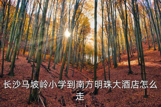 長(zhǎng)沙馬坡嶺小學(xué)到南方明珠大酒店怎么走