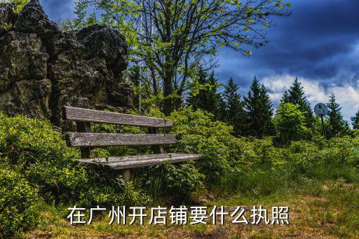 廣州營業執照，在廣州市辦理營業執照的事宜