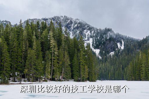 深圳市技工學校，廣東深圳技術學校
