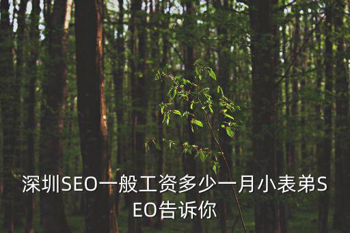 深圳seo，求深圳SEO的就業狀況一般的工資水平發展情況