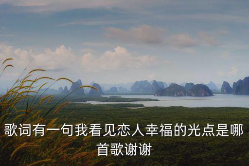 歌詞有一句我看見(jiàn)戀人幸福的光點(diǎn)是哪首歌謝謝
