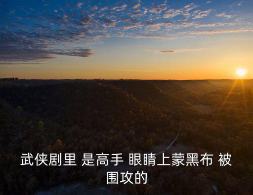 武俠劇里 是高手 眼睛上蒙黑布 被圍攻的