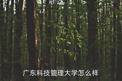 廣東科技管理大學，廣東科技學院工商管理系是怎樣的是不是男孩子較多還有就業方面