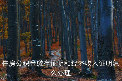 公積金繳納證明，住房公積金繳存證明和經(jīng)濟(jì)收入證明怎么辦理