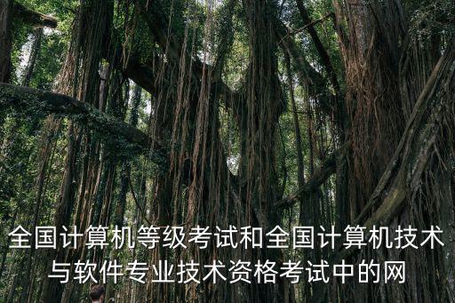 全國計算機等級考試和全國計算機技術與軟件專業技術資格考試中的網
