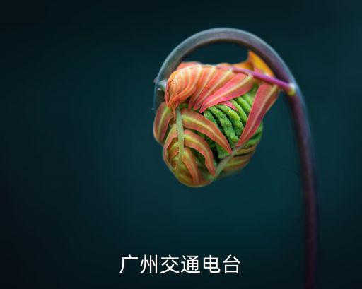 廣州交通電臺(tái)