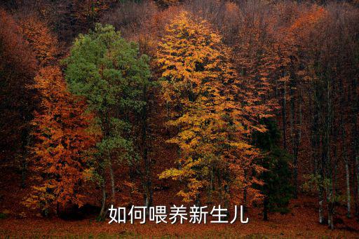 如何喂養新生兒