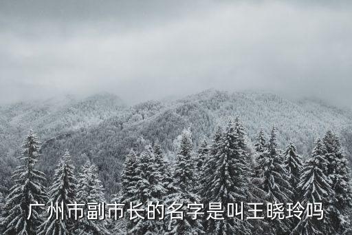 廣州市副市長的名字是叫王曉玲嗎