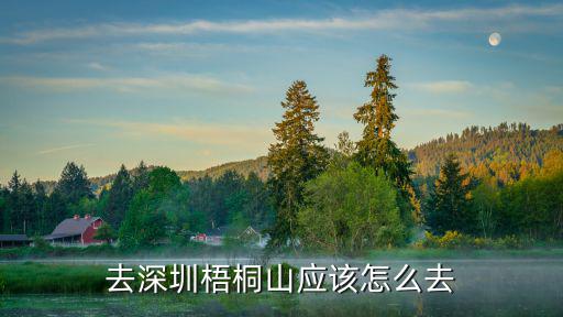 深圳梧桐山，去深圳梧桐山應該怎么去