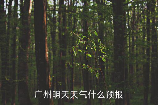 廣州明天天氣什么預(yù)報(bào)