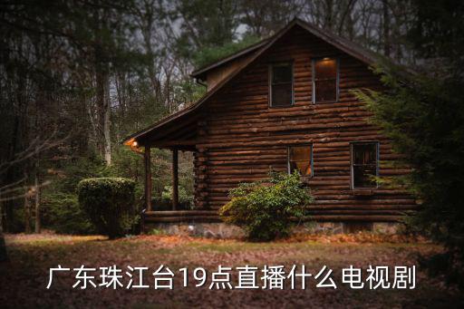 廣東珠江臺19點直播什么電視劇