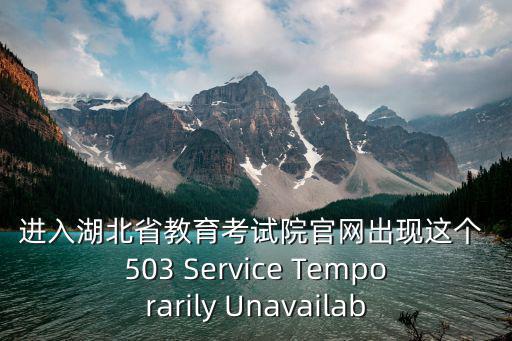 進入湖北省教育考試院官網出現這個 503 Service Temporarily Unavailab