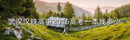 武漢漢鐵高中2016高考一本線多少人
