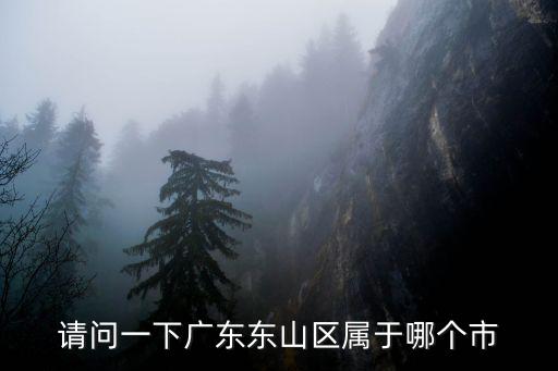請問一下廣東東山區屬于哪個市