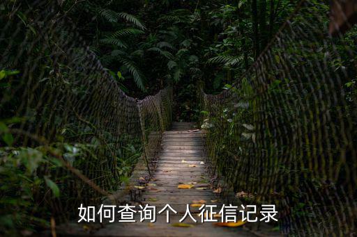 如何查詢個人征信記錄