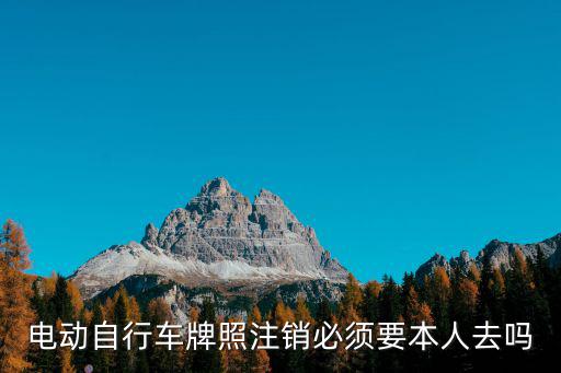 電動(dòng)自行車牌照注銷必須要本人去嗎