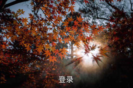 登錄入口，登錄