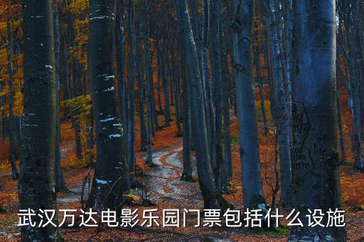武漢萬達電影樂園門票包括什么設施