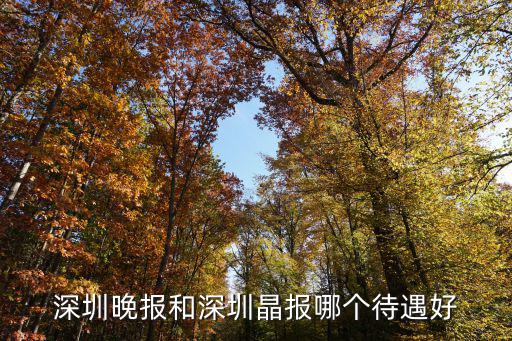 深圳晚報(bào)和深圳晶報(bào)哪個(gè)待遇好
