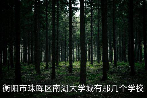 衡陽市珠暉區南湖大學城有那幾個學校