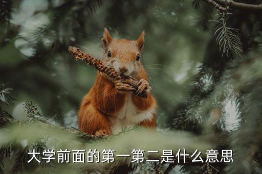 大學前面的第一第二是什么意思