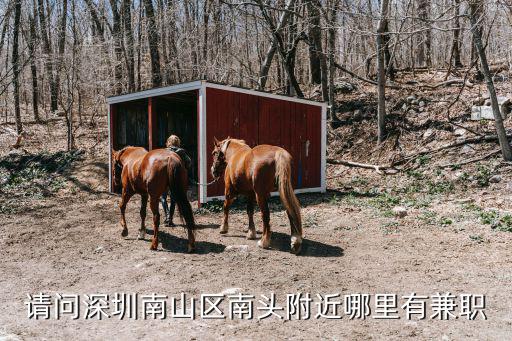 請問深圳南山區南頭附近哪里有兼職
