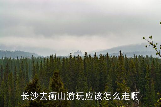 長沙到衡山，長沙到南岳衡山有多少公里