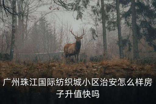 廣州珠江國(guó)際紡織城小區(qū)治安怎么樣房子升值快嗎
